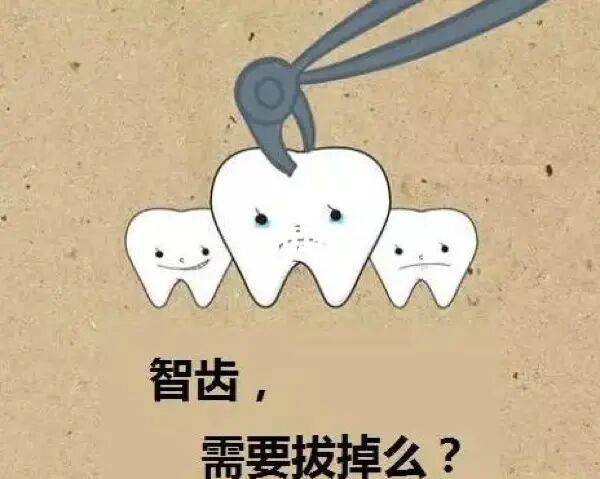 长了智齿就一定要拔掉吗？
