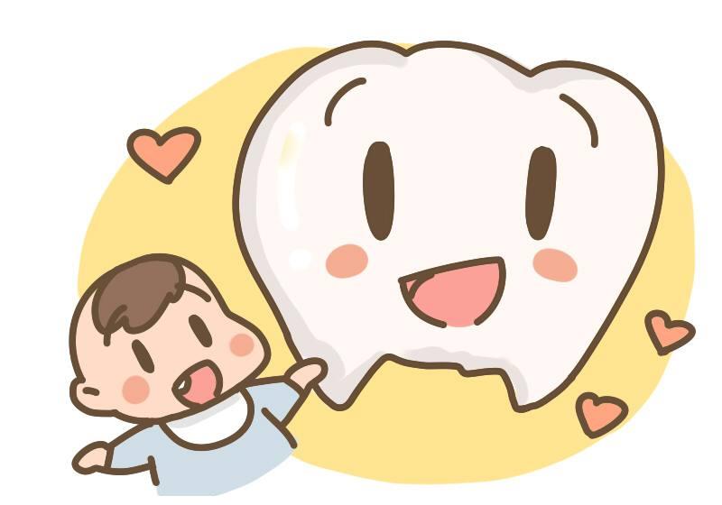 不同时期该如何护理宝宝的牙齿？