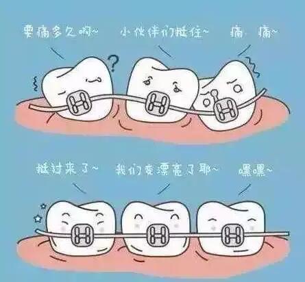 2025厦门后槽牙正畸医院TOP10排行(公立私立对比_康尔口腔门诊部上榜)_建议收藏